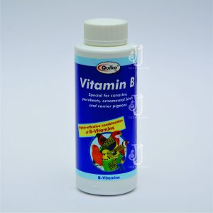 Vitamin B 100ml