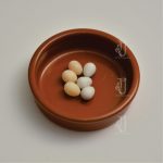 finch dummy eggs 2