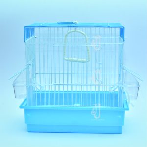 Song bird cage