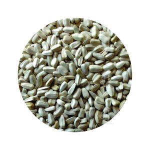 white sunflower seeds for cockatiels 1kg