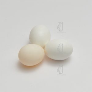 Parrot Dummy Eggs.