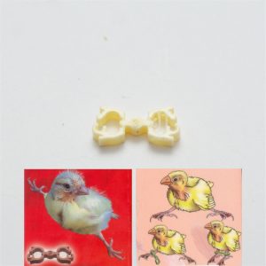 splayed legs Treatment Finch/ Canary