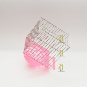 Canary outside cage Nest