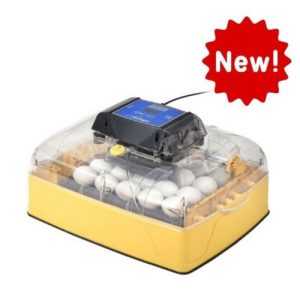 Ovation 28 Zoologica Exotic egg incubator